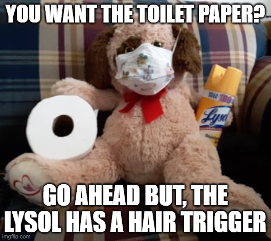 I don't feel safe in my own home anymore... | YOU WANT THE TOILET PAPER? GO AHEAD BUT, THE LYSOL HAS A HAIR TRIGGER | image tagged in coronavirus toy | made w/ Imgflip meme maker