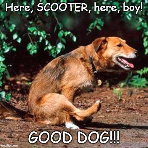 Here, SCOOTER, here, boy! GOOD DOG!!! | image tagged in dog,butt,scooter | made w/ Imgflip meme maker