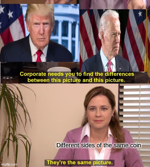 They're The Same Picture Meme | Different sides of the same coin | image tagged in memes,they're the same picture | made w/ Imgflip meme maker