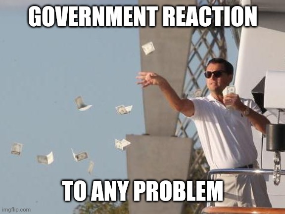 Leonardo DiCaprio throwing Money  | GOVERNMENT REACTION TO ANY PROBLEM | image tagged in leonardo dicaprio throwing money | made w/ Imgflip meme maker