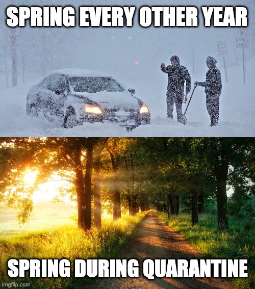 Spring During Quarantine | SPRING EVERY OTHER YEAR; SPRING DURING QUARANTINE | image tagged in spring during quarantine,quarantine,coronavirus,new york,new york coronavirus,midwest spring | made w/ Imgflip meme maker