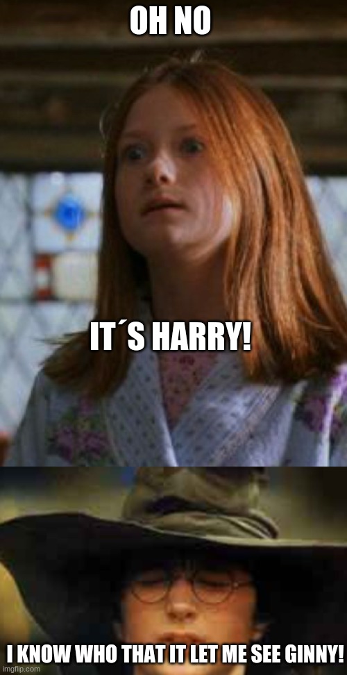OH NO; IT´S HARRY! I KNOW WHO THAT IT LET ME SEE GINNY! | image tagged in harry potter sorting hat,ginny weasley | made w/ Imgflip meme maker