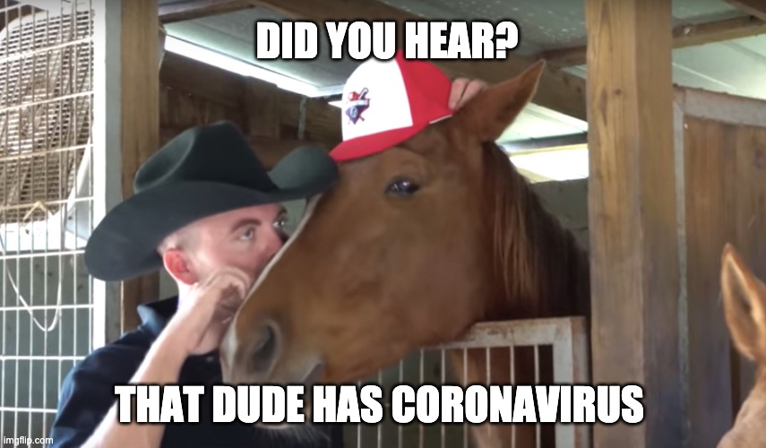 Coronavirus Gossip | DID YOU HEAR? THAT DUDE HAS CORONAVIRUS | image tagged in gossip,coronavirus,corona virus,fake news,dude,bored | made w/ Imgflip meme maker