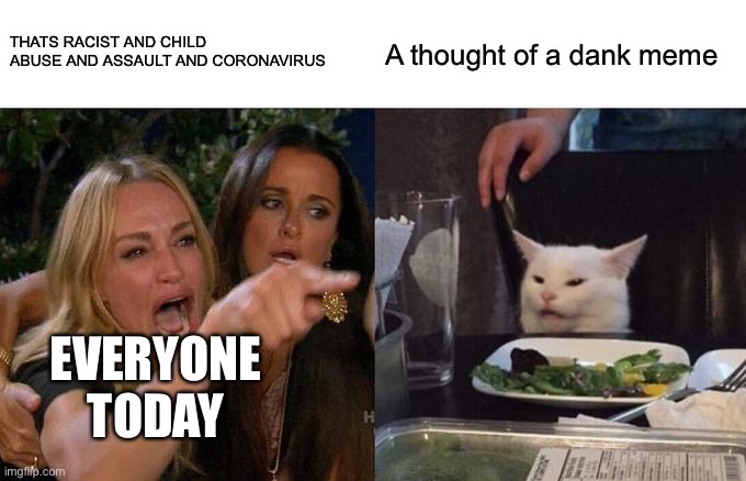 Woman Yelling At Cat Meme | THATS RACIST AND CHILD ABUSE AND ASSAULT AND CORONAVIRUS A thought of a dank meme EVERYONE TODAY | image tagged in memes,woman yelling at cat | made w/ Imgflip meme maker