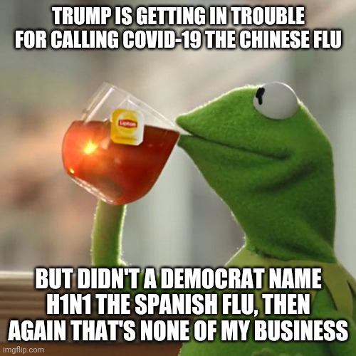 But That's None Of My Business |  TRUMP IS GETTING IN TROUBLE FOR CALLING COVID-19 THE CHINESE FLU; BUT DIDN'T A DEMOCRAT NAME H1N1 THE SPANISH FLU, THEN AGAIN THAT'S NONE OF MY BUSINESS | image tagged in memes,but thats none of my business,kermit the frog | made w/ Imgflip meme maker
