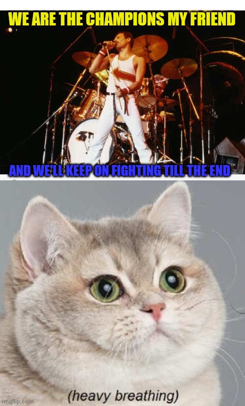 WE WILL ROCK YOU | WE ARE THE CHAMPIONS MY FRIEND; AND WE'LL KEEP ON FIGHTING TILL THE END | image tagged in memes,heavy breathing cat,queen,classic | made w/ Imgflip meme maker