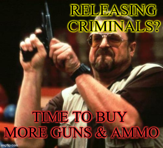 gun | RELEASING 
CRIMINALS? TIME TO BUY 
MORE GUNS & AMMO | image tagged in gun | made w/ Imgflip meme maker