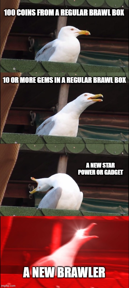 Inhaling Seagull Meme | 100 COINS FROM A REGULAR BRAWL BOX; 10 OR MORE GEMS IN A REGULAR BRAWL BOX; A NEW STAR POWER OR GADGET; A NEW BRAWLER | image tagged in memes,inhaling seagull | made w/ Imgflip meme maker