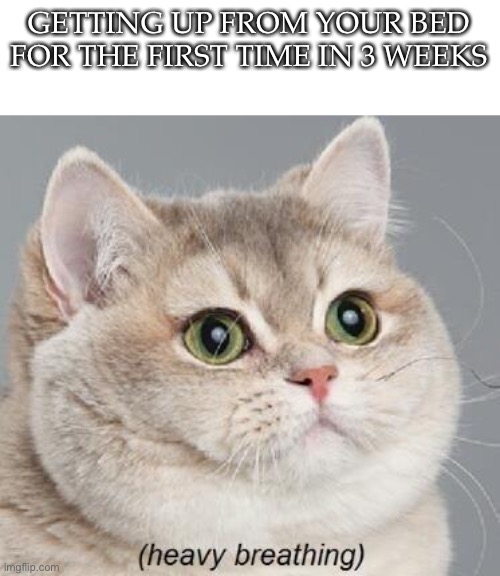 Heavy Breathing Cat Meme | GETTING UP FROM YOUR BED FOR THE FIRST TIME IN 3 WEEKS | image tagged in memes,heavy breathing cat | made w/ Imgflip meme maker