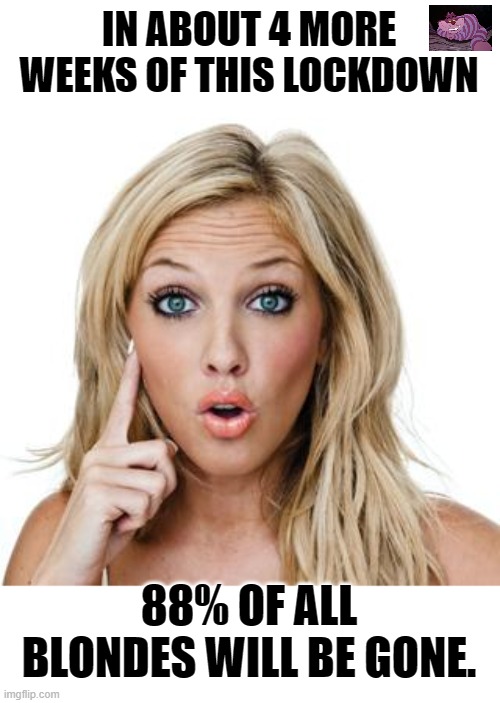Amazing what will happen when all beauty salons are closed. | IN ABOUT 4 MORE WEEKS OF THIS LOCKDOWN; 88% OF ALL BLONDES WILL BE GONE. | image tagged in dumb blonde | made w/ Imgflip meme maker
