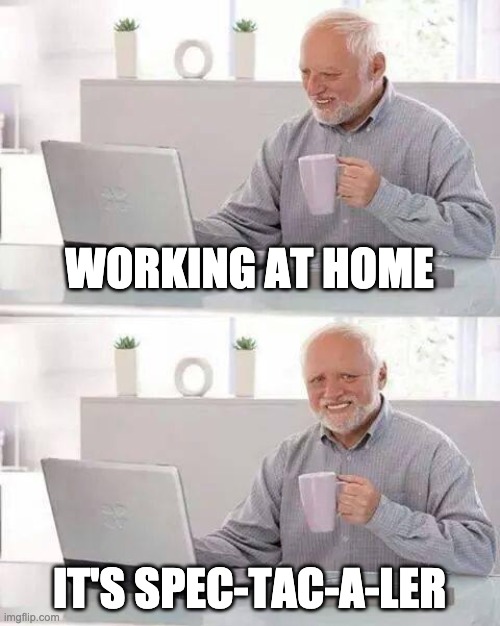 Hide the Pain Harold | WORKING AT HOME; IT'S SPEC-TAC-A-LER | image tagged in memes,hide the pain harold | made w/ Imgflip meme maker