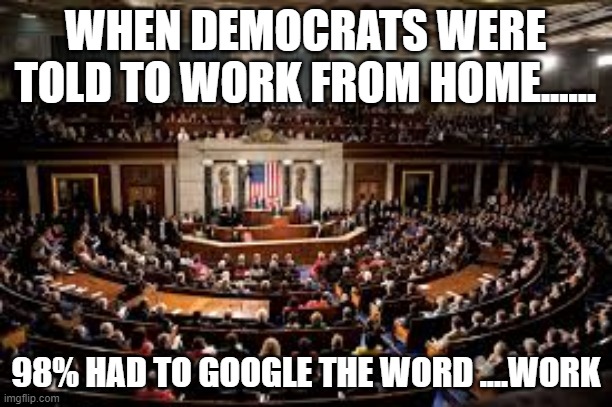 Democrats work? | WHEN DEMOCRATS WERE TOLD TO WORK FROM HOME...... 98% HAD TO GOOGLE THE WORD ....WORK | image tagged in democrats,work from home | made w/ Imgflip meme maker