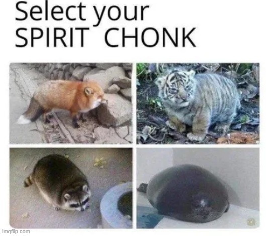 Select your SPIRIT CHONK | image tagged in spirit animal,chunk,big chungus,animals | made w/ Imgflip meme maker