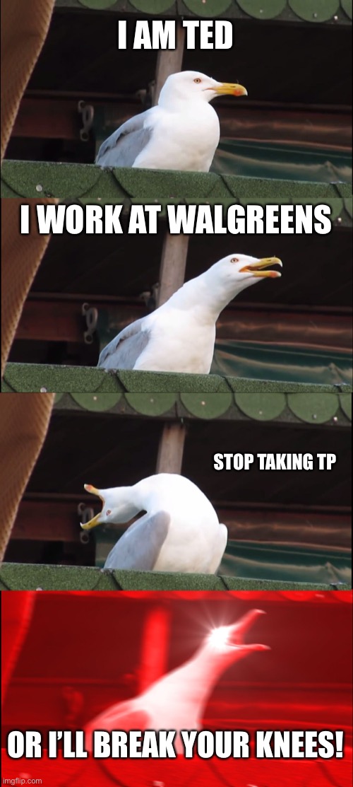 Inhaling Seagull Meme | I AM TED; I WORK AT WALGREENS; STOP TAKING TP; OR I’LL BREAK YOUR KNEES! | image tagged in memes,inhaling seagull | made w/ Imgflip meme maker