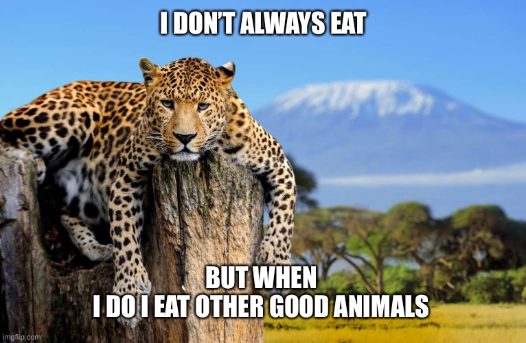 Most Interesting Leopard In The World | I DON’T ALWAYS EAT; BUT WHEN 
I DO I EAT OTHER GOOD ANIMALS | image tagged in most interesting leopard in the world | made w/ Imgflip meme maker