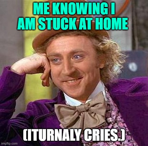 Creepy Condescending Wonka Meme | ME KNOWING I AM STUCK AT HOME; (ITURNALY CRIES.) | image tagged in memes,creepy condescending wonka | made w/ Imgflip meme maker