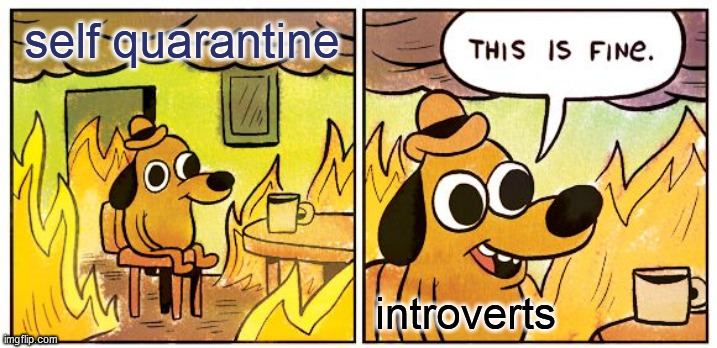 This Is Fine Meme | self quarantine; introverts | image tagged in memes,this is fine | made w/ Imgflip meme maker