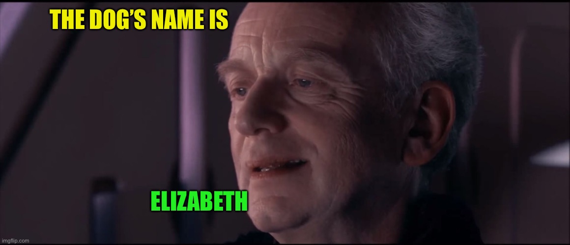 Palpatine Ironic  | THE DOG’S NAME IS ELIZABETH | image tagged in palpatine ironic | made w/ Imgflip meme maker