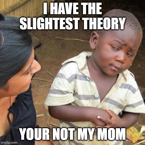 Third World Skeptical Kid | I HAVE THE SLIGHTEST THEORY; YOUR NOT MY MOM | image tagged in memes,third world skeptical kid,theory,mom | made w/ Imgflip meme maker