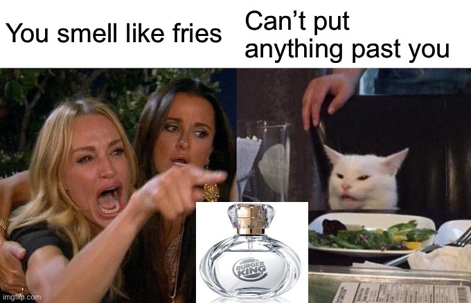 Woman Yelling At Cat Meme | You smell like fries Can’t put anything past you | image tagged in memes,woman yelling at cat | made w/ Imgflip meme maker