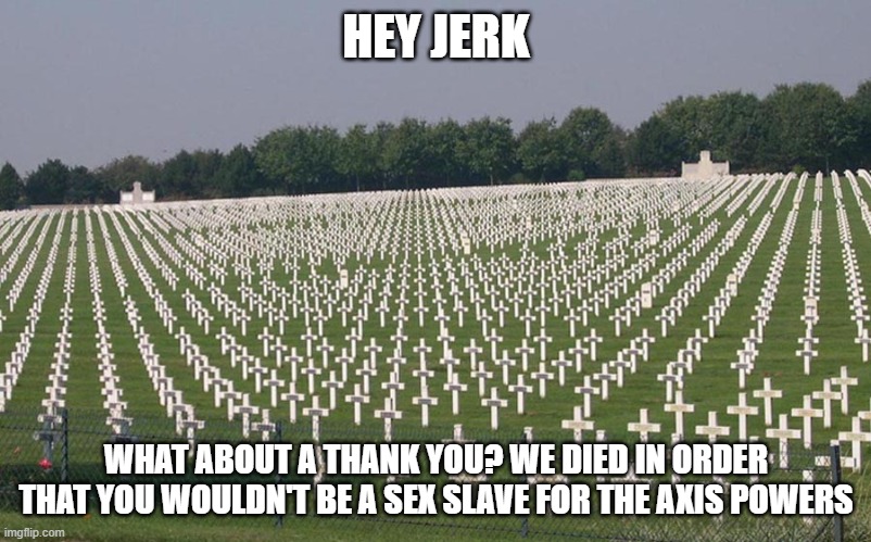 ww2 graves | HEY JERK WHAT ABOUT A THANK YOU? WE DIED IN ORDER THAT YOU WOULDN'T BE A SEX SLAVE FOR THE AXIS POWERS | image tagged in ww2 graves | made w/ Imgflip meme maker