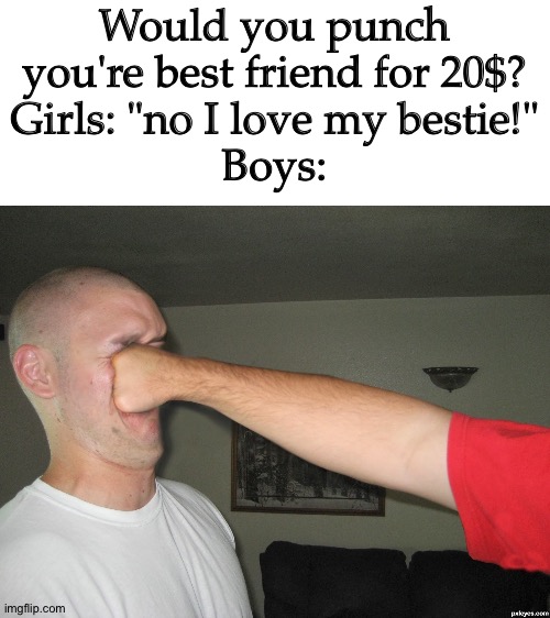 Face punch | Would you punch you're best friend for 20$?
Girls: "no I love my bestie!"
Boys: | image tagged in face punch | made w/ Imgflip meme maker