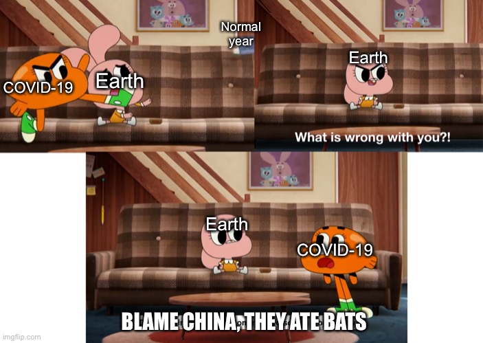 Coronavirus got to stop | COVID-19 Earth Normal year Earth COVID-19 Earth BLAME CHINA, THEY ATE BATS | image tagged in what is wrong with you | made w/ Imgflip meme maker