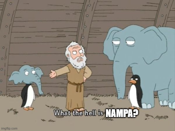 What the hell is this? | NAMPA? | image tagged in what the hell is this | made w/ Imgflip meme maker