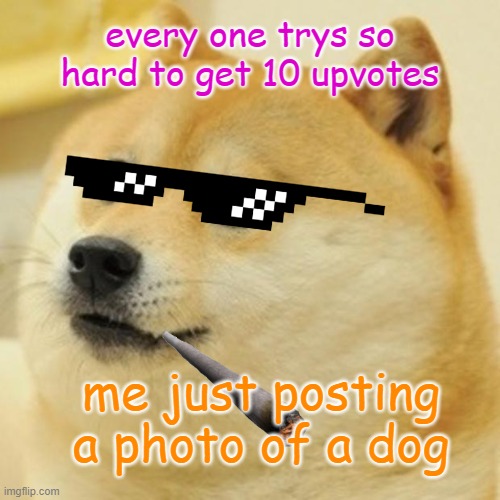 Doge Meme | every one trys so hard to get 10 upvotes; me just posting a photo of a dog | image tagged in memes,doge | made w/ Imgflip meme maker