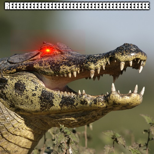 REEEEEEEEEEEEEEEEEEEEEEEEEEEEEEEEEEEEEEE | image tagged in oh shit | made w/ Imgflip meme maker