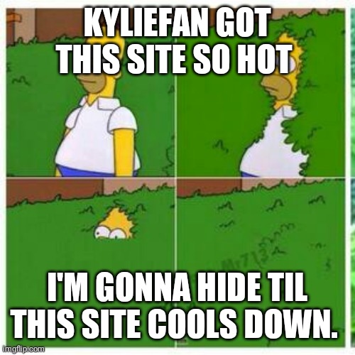 Homer hides | KYLIEFAN GOT THIS SITE SO HOT; I'M GONNA HIDE TIL THIS SITE COOLS DOWN. | image tagged in homer hides | made w/ Imgflip meme maker