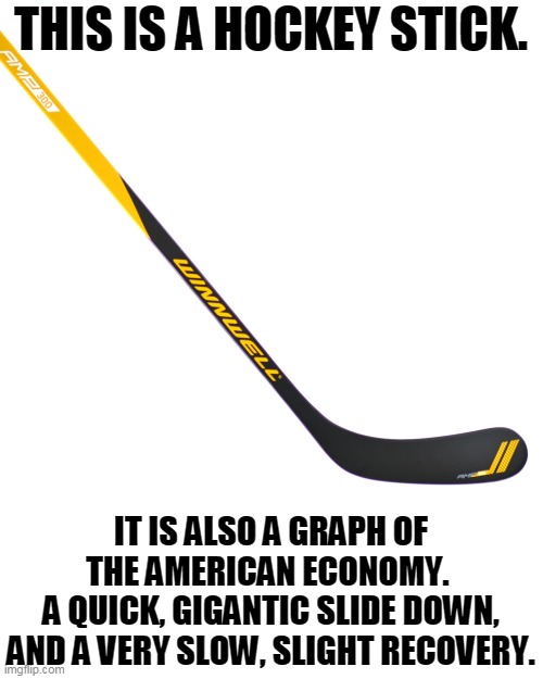 Don't expect a quick return to what we had before. It will be a slow, gradual trip upwards to a place you don't recognize. | THIS IS A HOCKEY STICK. IT IS ALSO A GRAPH OF THE AMERICAN ECONOMY. 
A QUICK, GIGANTIC SLIDE DOWN, AND A VERY SLOW, SLIGHT RECOVERY. | image tagged in america,usa,economy,recovery,slow,strange | made w/ Imgflip meme maker