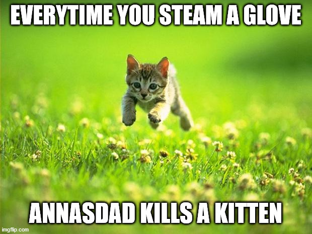 Every time I smile God Kills a Kitten | EVERYTIME YOU STEAM A GLOVE; ANNASDAD KILLS A KITTEN | image tagged in every time i smile god kills a kitten | made w/ Imgflip meme maker