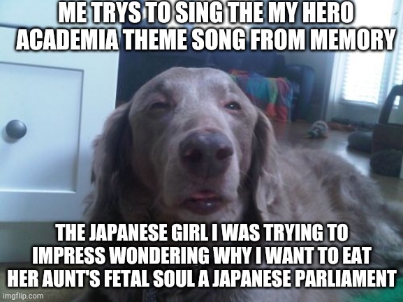 High Dog Meme | ME TRYS TO SING THE MY HERO ACADEMIA THEME SONG FROM MEMORY; THE JAPANESE GIRL I WAS TRYING TO IMPRESS WONDERING WHY I WANT TO EAT HER AUNT'S FETAL SOUL A JAPANESE PARLIAMENT | image tagged in memes,high dog | made w/ Imgflip meme maker