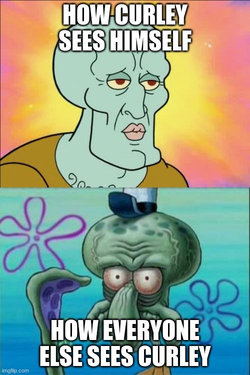 Squidward | HOW CURLEY SEES HIMSELF; HOW EVERYONE ELSE SEES CURLEY | image tagged in memes,squidward | made w/ Imgflip meme maker