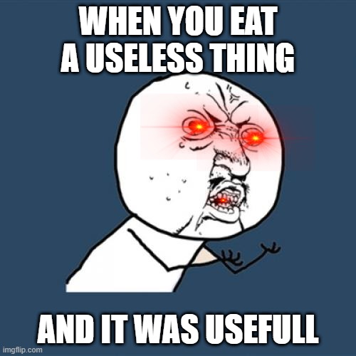 Y U No Meme | WHEN YOU EAT A USELESS THING; AND IT WAS USEFULL | image tagged in memes,y u no | made w/ Imgflip meme maker