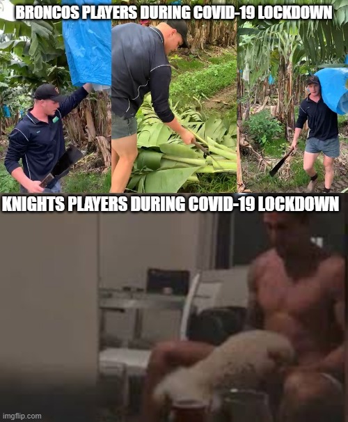 NRL Footy players during Lockdown | BRONCOS PLAYERS DURING COVID-19 LOCKDOWN; KNIGHTS PLAYERS DURING COVID-19 LOCKDOWN | image tagged in rugby,dogs,banana power | made w/ Imgflip meme maker