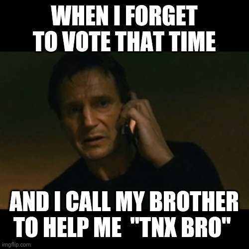 Liam Neeson Taken Meme | WHEN I FORGET TO VOTE THAT TIME; AND I CALL MY BROTHER TO HELP ME  "TNX BRO" | image tagged in memes,liam neeson taken | made w/ Imgflip meme maker