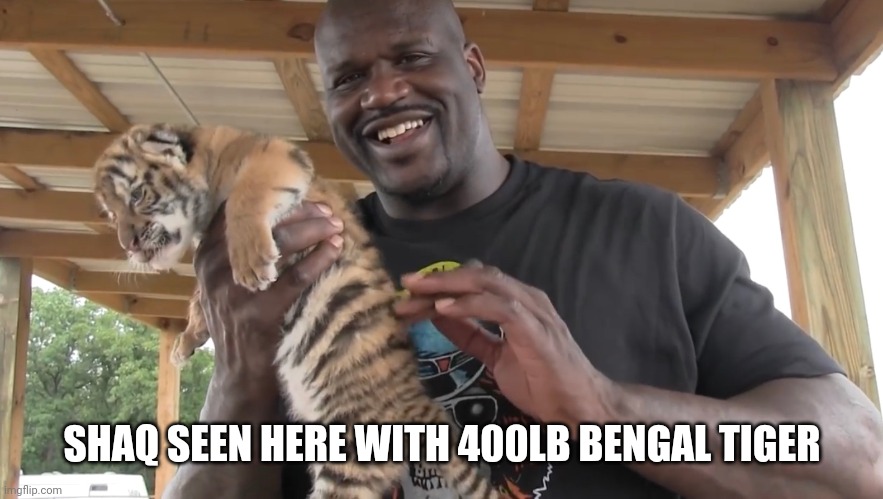 SHAQ SEEN HERE WITH 400LB BENGAL TIGER | made w/ Imgflip meme maker