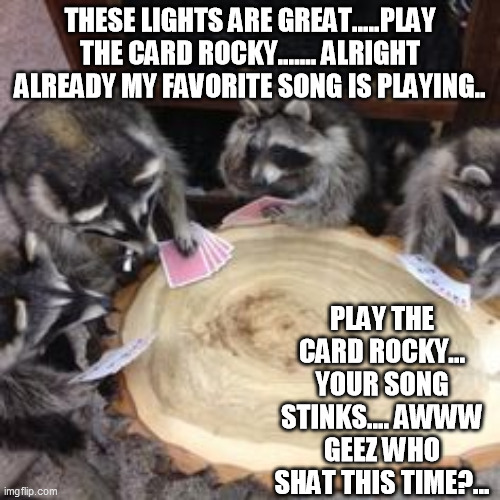 Raccoons playing cards | THESE LIGHTS ARE GREAT.....PLAY THE CARD ROCKY....... ALRIGHT ALREADY MY FAVORITE SONG IS PLAYING.. PLAY THE CARD ROCKY... YOUR SONG STINKS.... AWWW GEEZ WHO SHAT THIS TIME?... | image tagged in raccoons playing cards | made w/ Imgflip meme maker