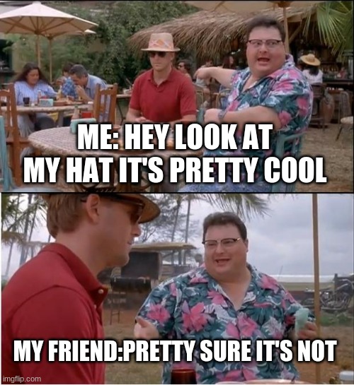 See Nobody Cares | ME: HEY LOOK AT MY HAT IT'S PRETTY COOL; MY FRIEND:PRETTY SURE IT'S NOT | image tagged in memes,see nobody cares | made w/ Imgflip meme maker