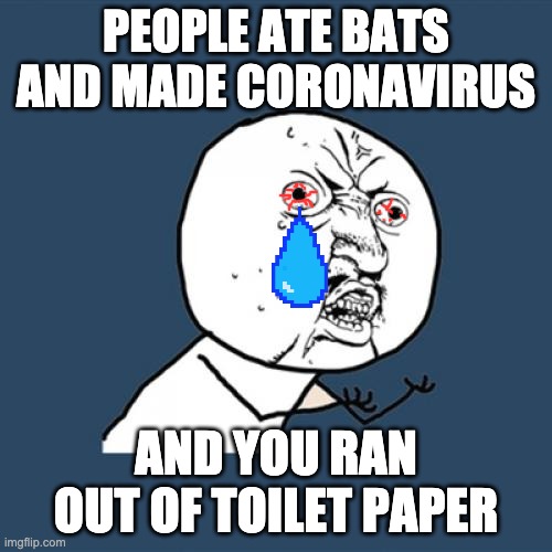 Y U No | PEOPLE ATE BATS AND MADE CORONAVIRUS; AND YOU RAN OUT OF TOILET PAPER | image tagged in memes,y u no | made w/ Imgflip meme maker