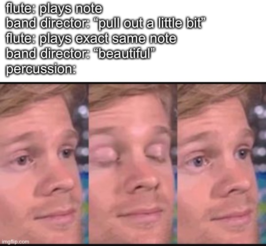 Blinking guy | flute: plays note
band director: “pull out a little bit”
flute: plays exact same note
band director: “beautiful”
percussion: | image tagged in blinking guy | made w/ Imgflip meme maker