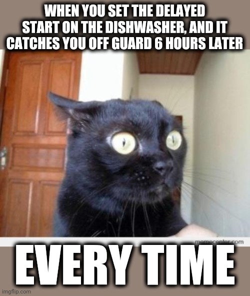 I should have caught on by now | WHEN YOU SET THE DELAYED START ON THE DISHWASHER, AND IT CATCHES YOU OFF GUARD 6 HOURS LATER; EVERY TIME | image tagged in scared cat,memes,dishwasher,delayed,start | made w/ Imgflip meme maker