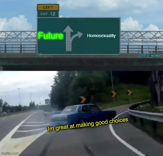 Left Exit 12 Off Ramp | Future; Homosexuality; Im great at making good choices | image tagged in memes,left exit 12 off ramp | made w/ Imgflip meme maker