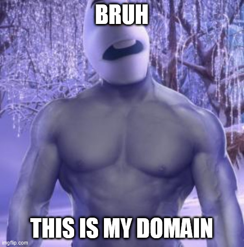 Large Olaf | BRUH; THIS IS MY DOMAIN | image tagged in large olaf | made w/ Imgflip meme maker