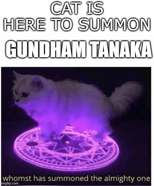 Cat Is Here To Summon | CAT IS HERE TO SUMMON; GUNDHAM TANAKA | image tagged in danganronpa,gundham tanaka | made w/ Imgflip meme maker