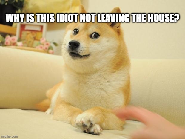 Doge 2 Meme | WHY IS THIS IDIOT NOT LEAVING THE HOUSE? | image tagged in memes,doge 2 | made w/ Imgflip meme maker