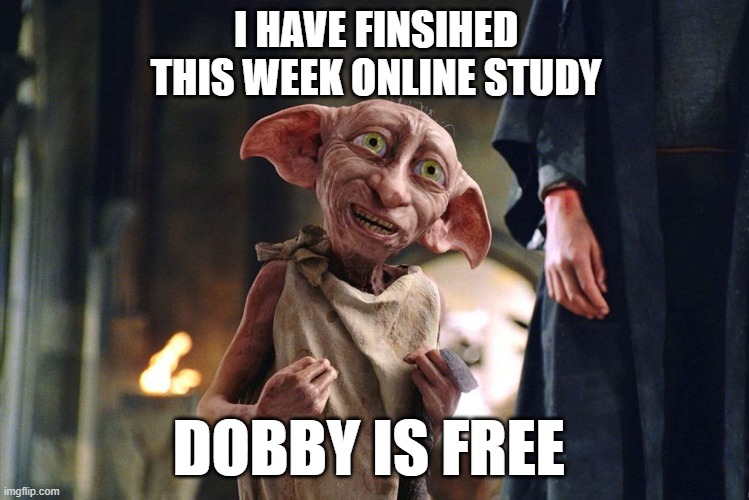 Dobby is free | I HAVE FINSIHED THIS WEEK ONLINE STUDY; DOBBY IS FREE | image tagged in dobby is free | made w/ Imgflip meme maker