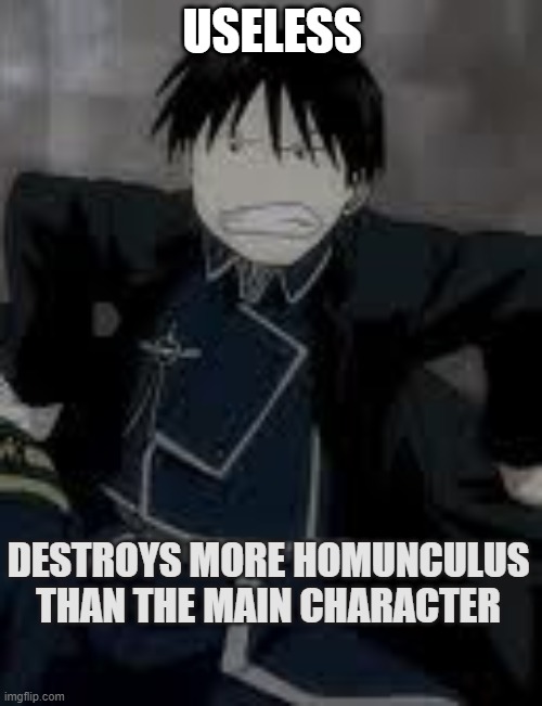 Roy Mustang | USELESS; DESTROYS MORE HOMUNCULUS THAN THE MAIN CHARACTER | image tagged in useless fact of the day | made w/ Imgflip meme maker